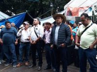 Podría analizar Sección 22 permanencia de paro y plantón parcial