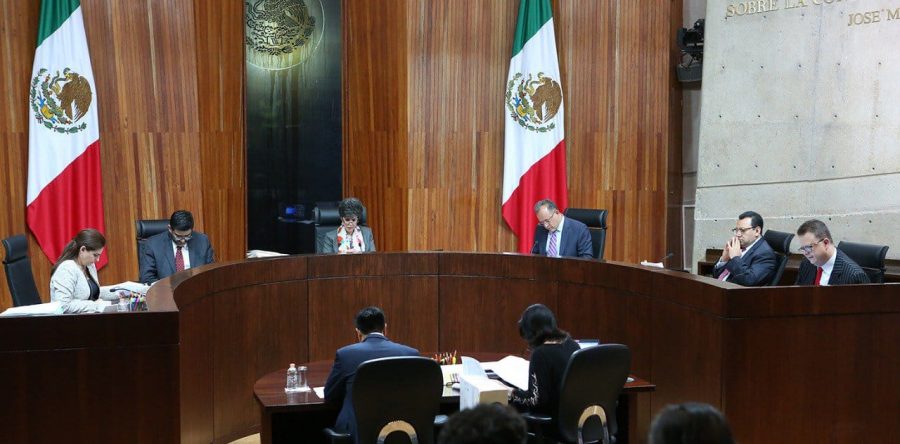 Desecha Tribunal Electoral 15 candidaturas de falsos trans y avala dos