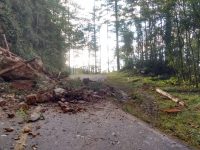 Por las fuertes lluvias se presentó derrumbe en la carretera a Tuxtepec