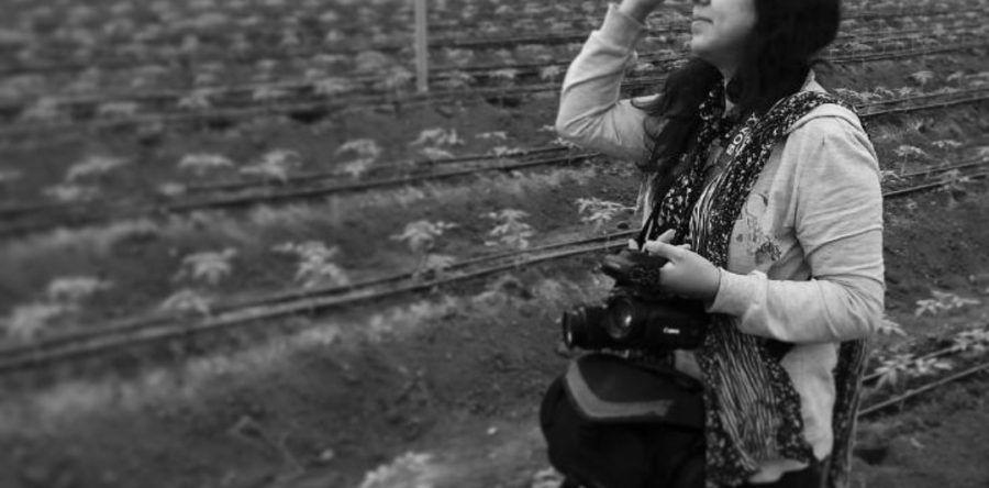 Carta a las buenas conciencias: Soledad Jarquín