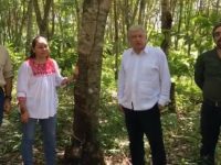 Sedesol se convertirá en Secretaría de Bienestar, anuncia AMLO