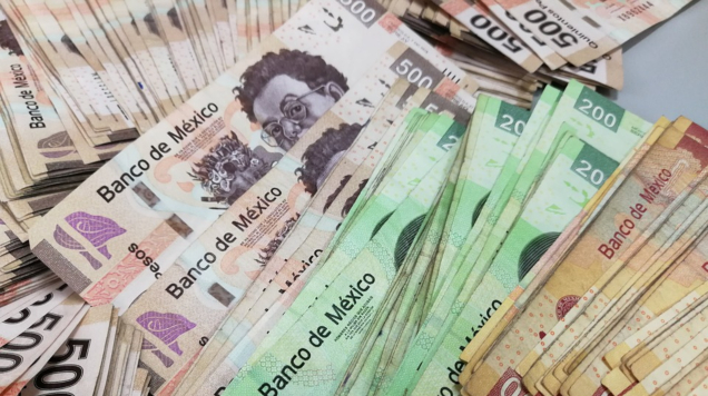 Al terminar el año, el salario mínimo debería ser de 102 pesos