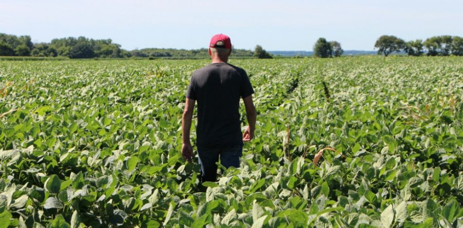 EE.UU. anuncia ayuda por 12 mil mdd a agricultores afectados por aranceles