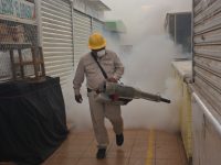 Fumigará Gobierno Municipal el Mercado de Abasto