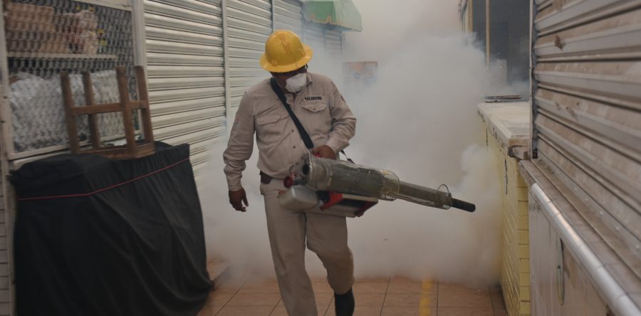 Fumigará Gobierno Municipal el Mercado de Abasto