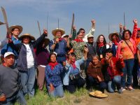 Campesinos de Atenco piden revisar con López Obrador tema del aeropuerto