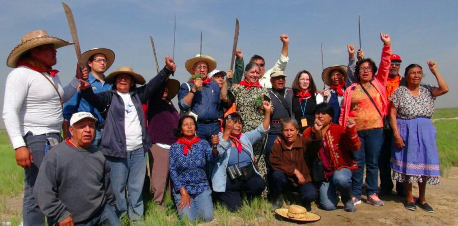 Campesinos de Atenco piden revisar con López Obrador tema del aeropuerto