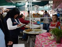 Implementa SSO operativo de vigilancia sanitaria “Guelaguetza 2018”