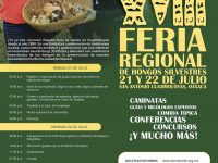 Invita SECTUR Oaxaca a la XVIII Feria de los Hongos Silvestres