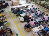 La cobertura de la seguridad social en México solo creció 1% en 10 años: OIT