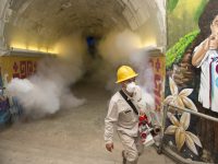 Oaxaca cuenta con espacios seguros y óptimos para recibir a turistas: SSO