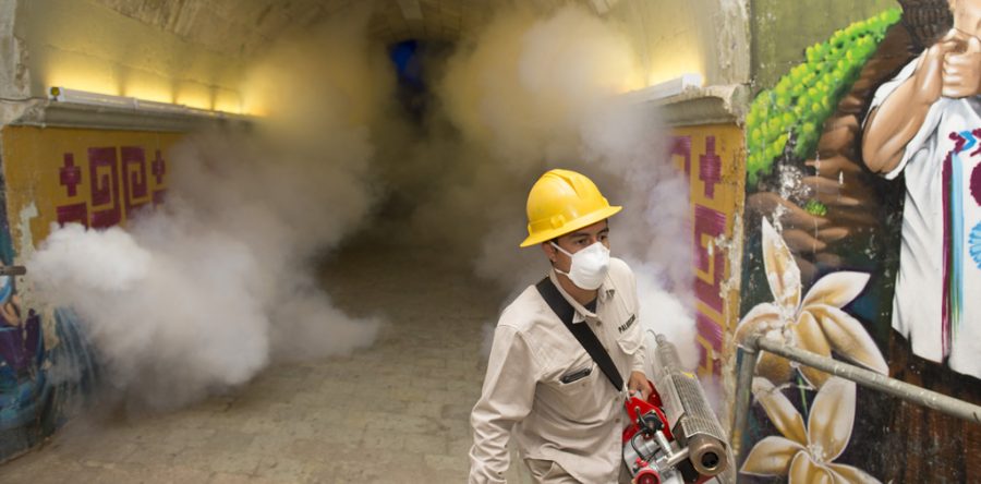 Oaxaca cuenta con espacios seguros y óptimos para recibir a turistas: SSO