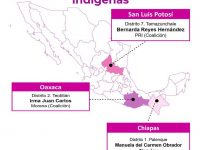 Ocuparán curules 5 mujeres indígenas