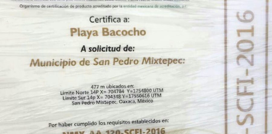 Recertifican Playa Bacocho como uso recreativo “Playa Limpia”