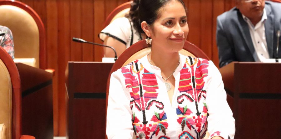 Reforma a la Ley de Cambio Climático del Estado ayudará a la prevención en materia de desastres naturales: Paola Gutiérrez