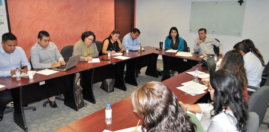 Trabajo permanente entre SMO y SA para garantizar igualdad y no discriminación