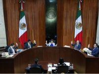 Tribunal Electoral ha recibido 2 avisos de impugnación contra elección presidencial