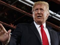 Trump afirma que los demócratas quieren abolir el ICE