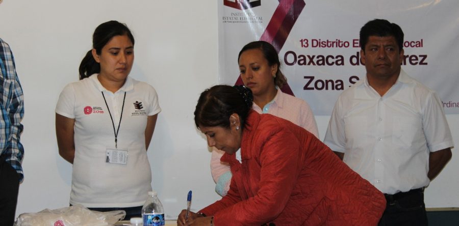 Gana Hilda Luis Distrito 13 Oaxaca Sur con votación histórica