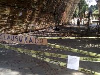Clausuran ambientalistas la Feria del Mezcal por daño al arbolado
