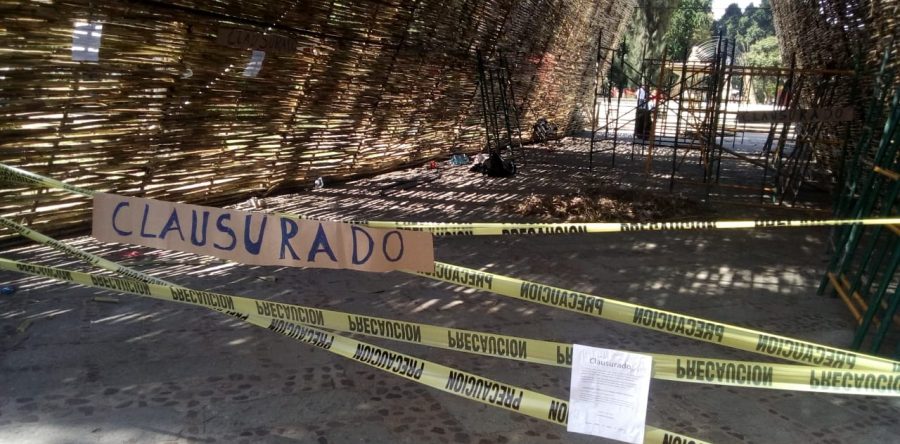 Clausuran ambientalistas la Feria del Mezcal por daño al arbolado