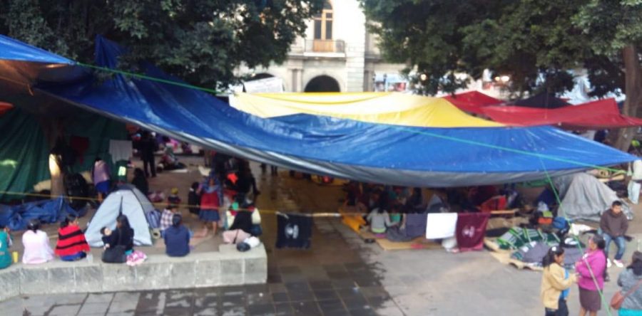 Organizaciones sociales protestan en el zócalo de la ciudad