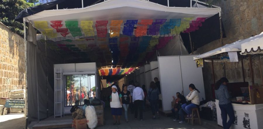 Truenan artesanos en contra del IOA