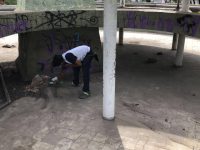 Pintores emprenden acciones de rescate en el monumento a la Madre