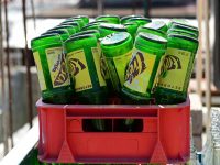 Identifica los síntomas del dengue, chikungunya o zika y acude al médico: SSO