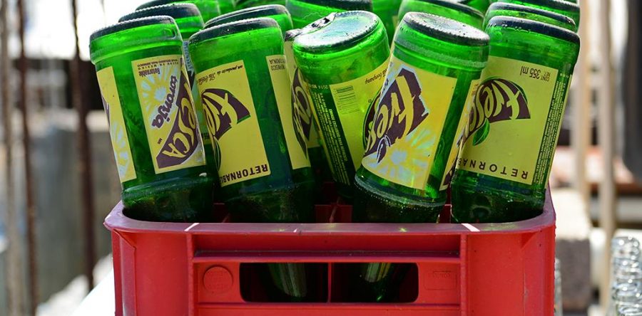 Identifica los síntomas del dengue, chikungunya o zika y acude al médico: SSO