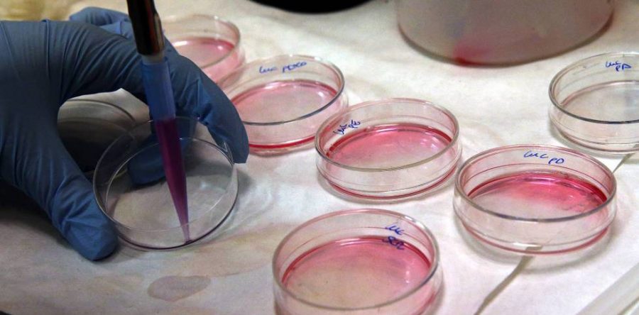 Descubren fármaco contra el cáncer que no daña células sanas