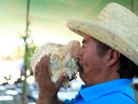 Insta Defensoría a autoridades a generar una nueva relación con los pueblos indígenas