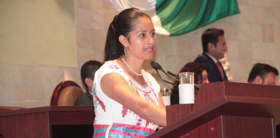 Pide diputada Paola Gutiérrez se implementen campañas y acciones para reducir uso de bolsas y popotes de plástico