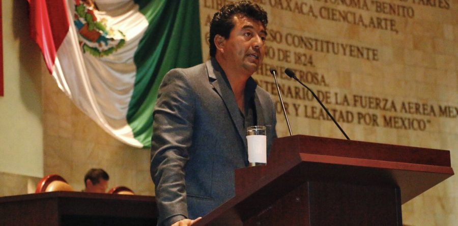 Castigo ejemplar a responsable de muerte de tortugas golfinas en la Costa, pide Juan Mendoza Reyes