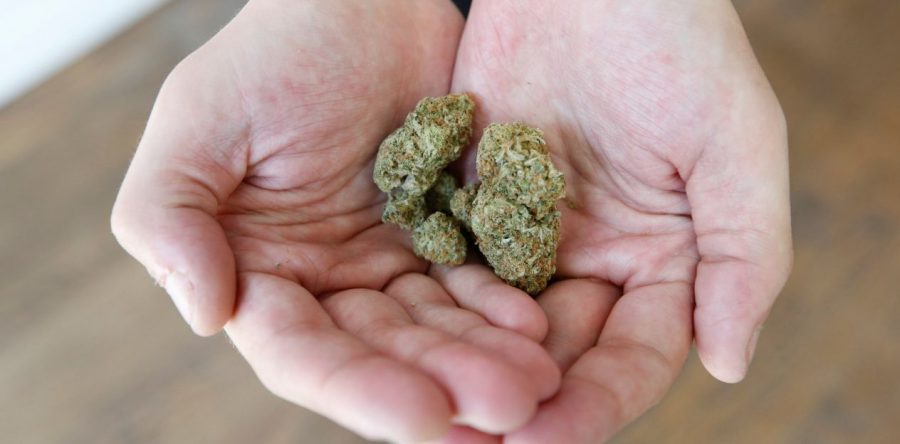 Corte avala el uso medicinal de la mariguana y el derecho a una muerte digna en la CDMX