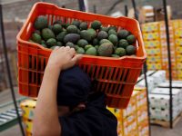 EU retiraría del TLCAN 2.0 propuesta de estacionalidad para productos agrícolas: CNA