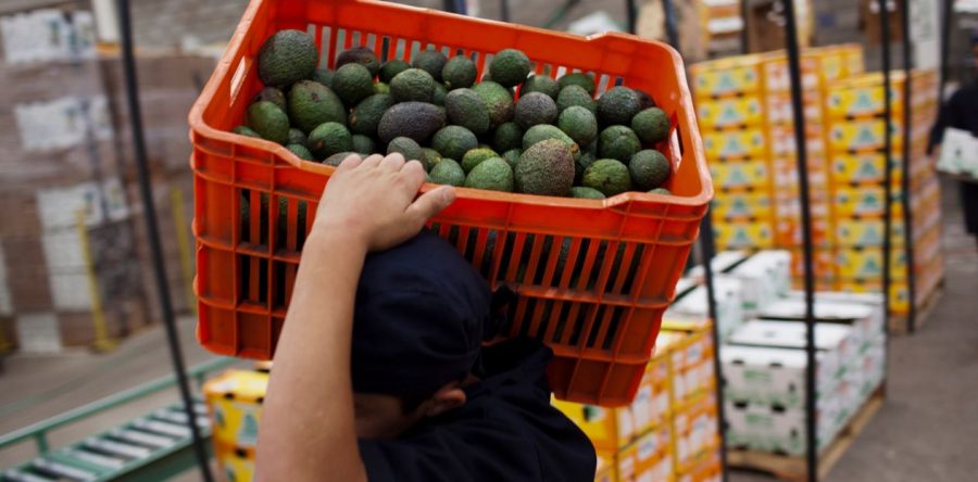 EU retiraría del TLCAN 2.0 propuesta de estacionalidad para productos agrícolas: CNA