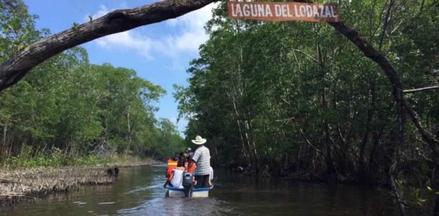 El INAI ordena difundir información sobre el impacto ambiental en Tabasco