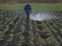 Gobierno deja un “campo inmerso en la pobreza”: FAC