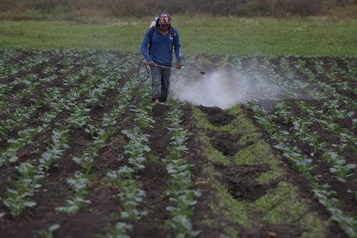 Gobierno deja un “campo inmerso en la pobreza”: FAC