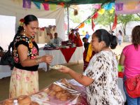 Inclusión económica de sectores vulnerables, eje en la política social de resultados: Sedesoh