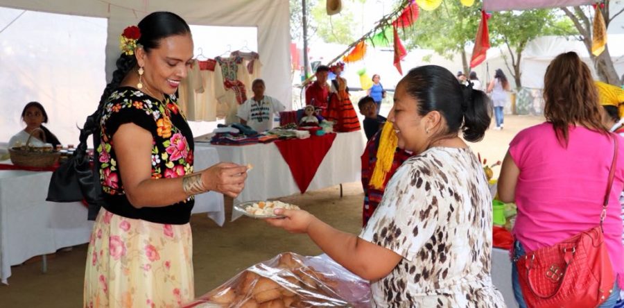 Inclusión económica de sectores vulnerables, eje en la política social de resultados: Sedesoh