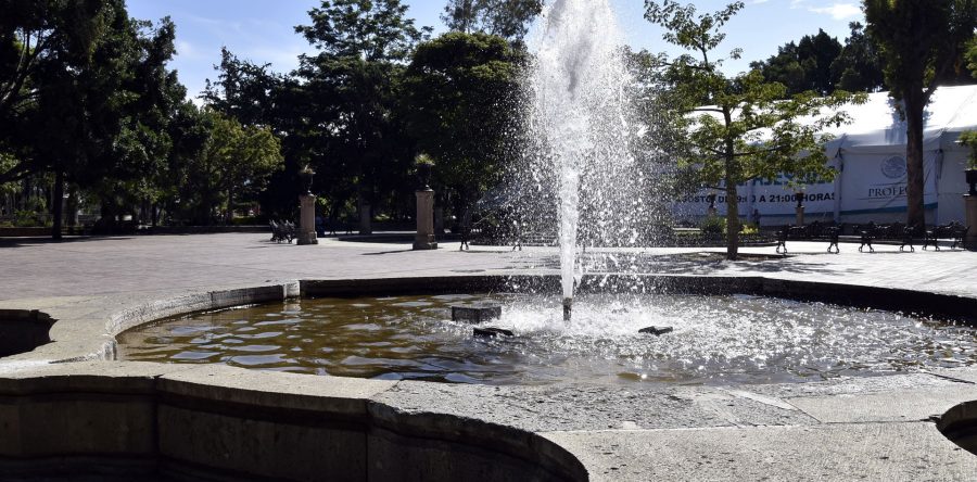 Realizan acciones de embellecimiento en espacios públicos de la ciudad