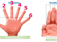 Libro con error de seis dedos llega a las aulas