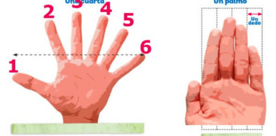 Libro con error de seis dedos llega a las aulas