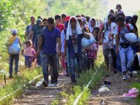 Migración, desarrollo y comercio: Luis Octavio Murat