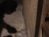 México promedia 26 robos a casa habitación por cada 100 mil habitantes