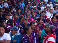 Presenta población indígena carencias en todos sus derechos sociales: Coneval