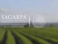 Prevén relevo ordenado en Sagarpa