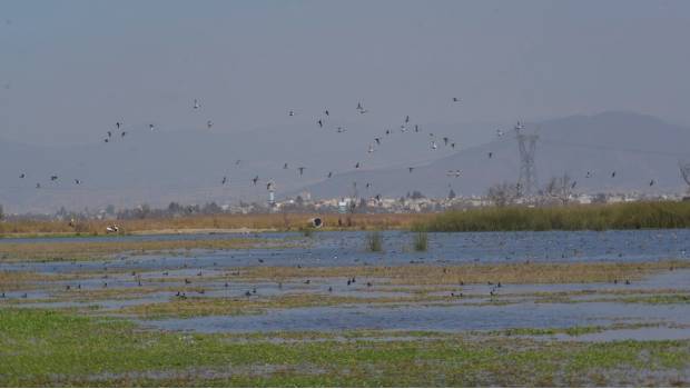 SCJN resolverá si comunidades pueden participar en temas que afecten medio ambiente